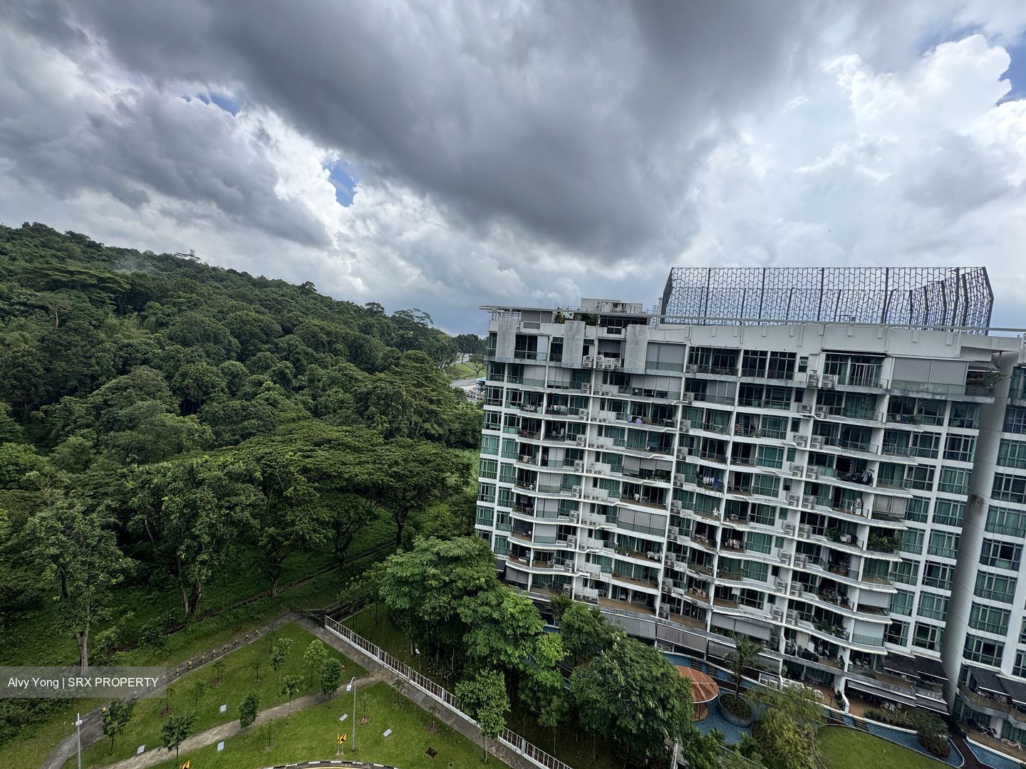 Midwood (D23), Condominium #550861071
